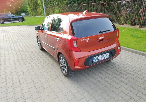 Kia Picanto cena 69900 przebieg: 18000, rok produkcji 2022 z Wejherowo małe 154